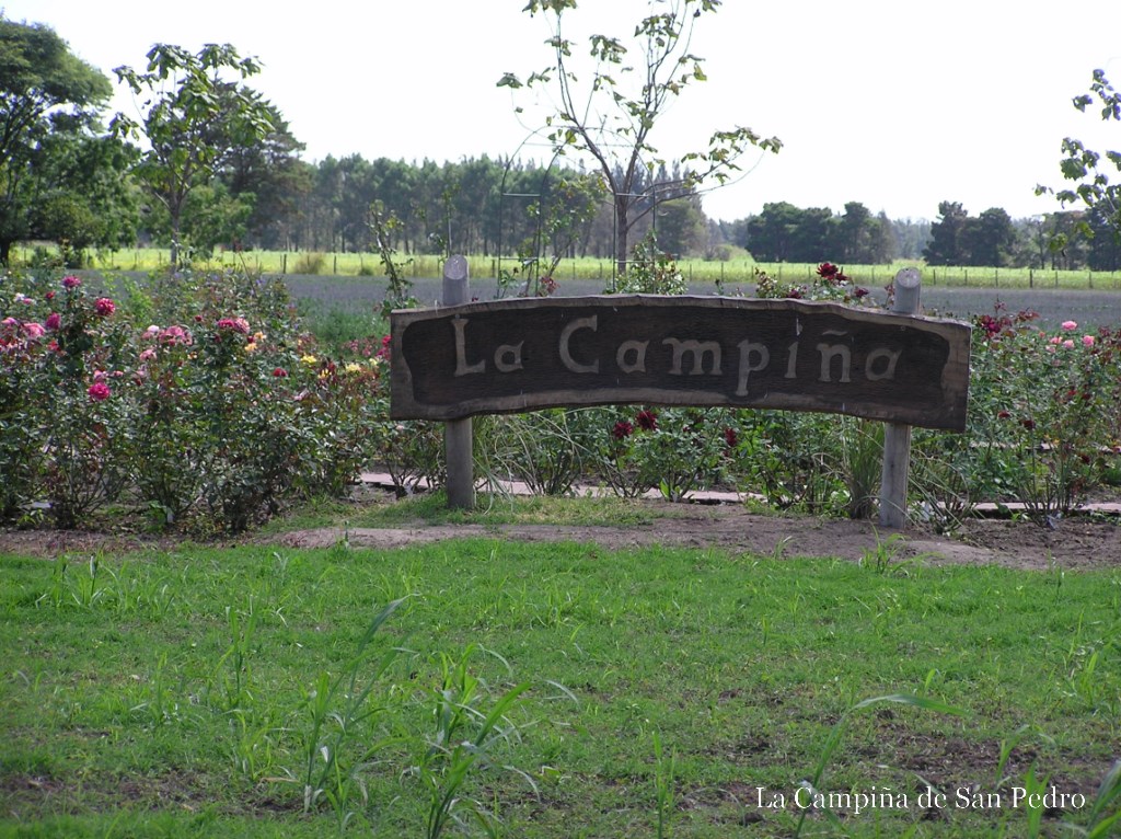 La Campiña De Mónica Y César La Guía Club San Pedro Buenos Aires